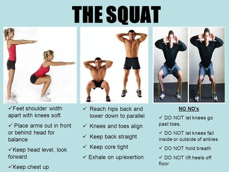 THE SQUAT Feet shoulder width apart with knees soft Place arms out in front or behind head for balance Keep head level, look forward Keep chest up NO NO’s.
