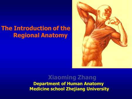 The Introduction of the Regional Anatomy Xiaoming Zhang Department of Human Anatomy Medicine school Zhejiang University.