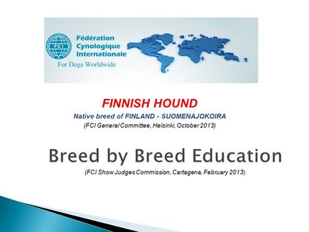 FINNISH HOUND Native breed of FINLAND - SUOMENAJOKOIRA (FCI General Committee, Helsinki, October 2013) (FCI Show Judges Commission, Cartagena, February.