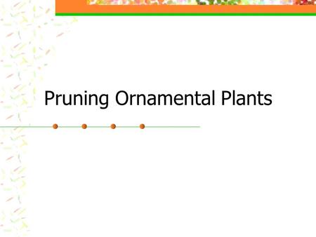 Pruning Ornamental Plants