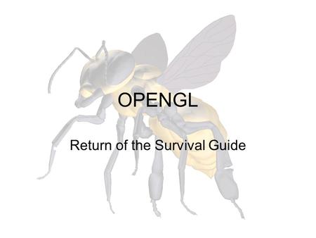 OPENGL Return of the Survival Guide. Buffers (0,0) OpenGL holds the buffers in a coordinate system such that the origin is the lower left corner.