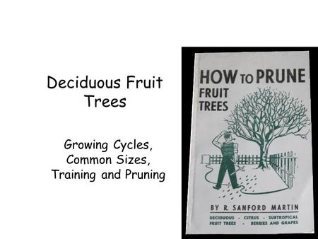 Growing Cycles, Common Sizes, Training and Pruning