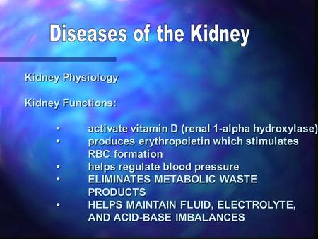 Kidney Physiology Kidney Functions: activate vitamin D (renal 1-alpha hydroxylase)activate vitamin D (renal 1-alpha hydroxylase) produces erythropoietin.