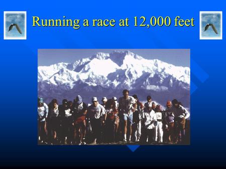 Running a race at 12,000 feet. Respiratory Failure Dr. Sat Sharma Univ of Manitoba.