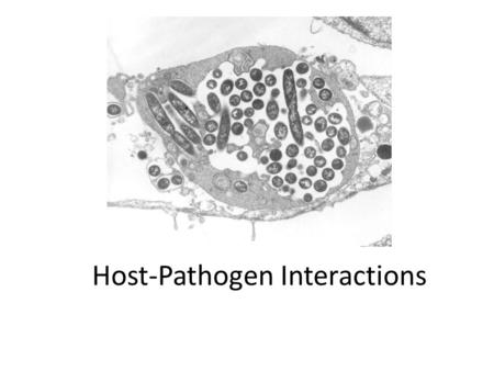 Host-Pathogen Interactions. Symbiosis Commensual Mutualistic Parasitic.