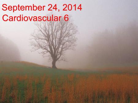 September 24, 2014 Cardiovascular 6