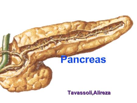 Pancreas Tavassoli,Alireza.