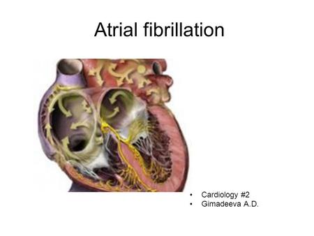Atrial fibrillation Cardiology #2 Gimadeeva A.D..