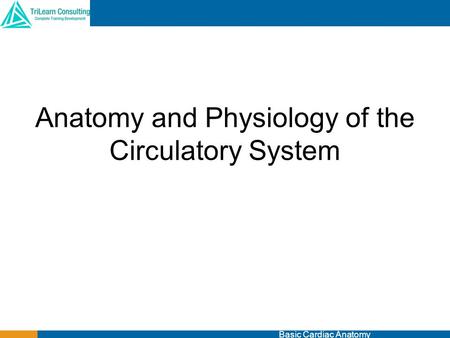 Anatomy and Physiology of the Circulatory System