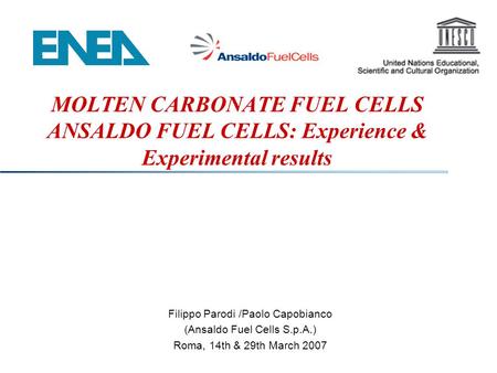 Filippo Parodi /Paolo Capobianco (Ansaldo Fuel Cells S.p.A.)