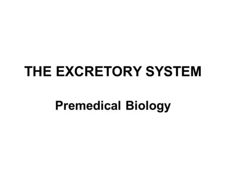 THE EXCRETORY SYSTEM Premedical Biology.