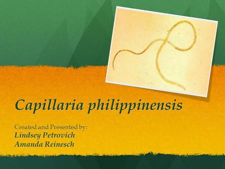 Capillaria philippinensis