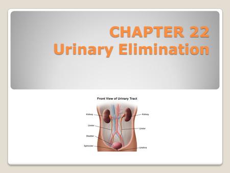 CHAPTER 22 Urinary Elimination