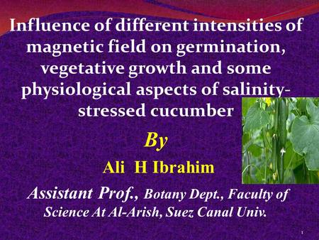 Influence of different intensities of magnetic field on germination, vegetative growth and some physiological aspects of salinity- stressed cucumber By.