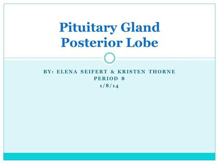 BY: ELENA SEIFERT & KRISTEN THORNE PERIOD 8 1/8/14 Pituitary Gland Posterior Lobe.