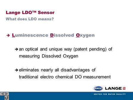 Luminescence Dissolved Oxygen