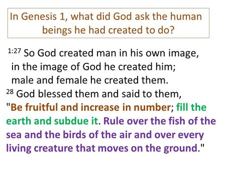 beings he had created to do?