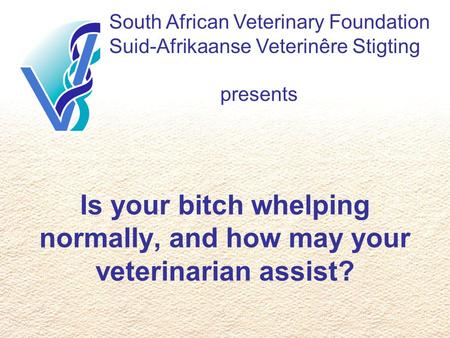 South African Veterinary Foundation Suid-Afrikaanse Veterinêre Stigting presents Is your bitch whelping normally, and how may your veterinarian assist?