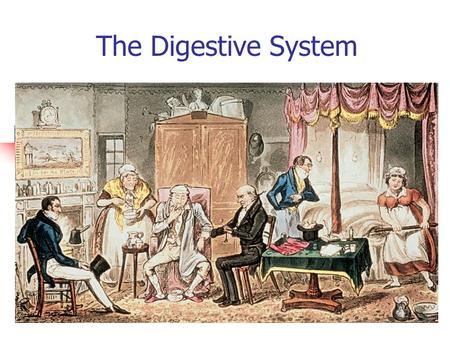 The Digestive System This Really Happened!