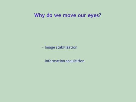Why do we move our eyes? - Image stabilization