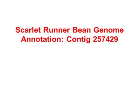 Scarlet Runner Bean Genome Annotation: Contig 257429.