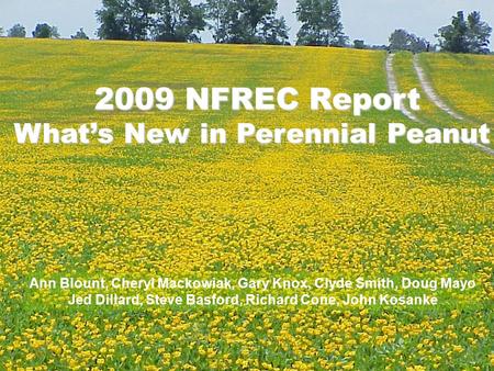 2009 NFREC Report What’s New in Perennial Peanut Ann Blount, Cheryl Mackowiak, Gary Knox, Clyde Smith, Doug Mayo Jed Dillard, Steve Basford, Richard Cone,