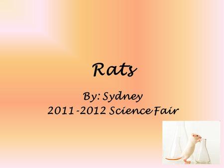 Rats By: Sydney 2011-2012 Science Fair. Problem Will the food you place in a trap affect the mouse’s likely hood to bite the bait?