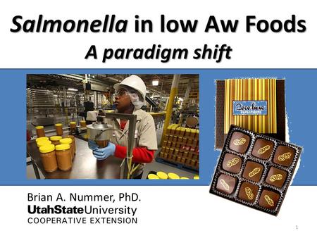 Salmonella in low Aw Foods A paradigm shift Brian A. Nummer, PhD. 1.