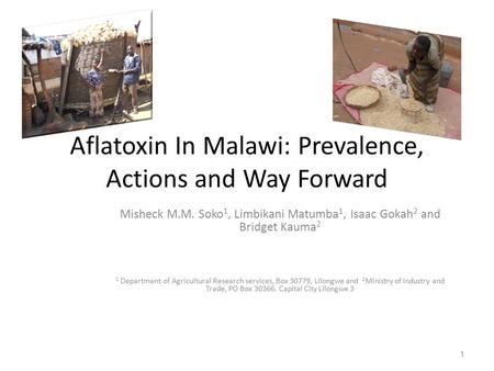 Aflatoxin In Malawi: Prevalence, Actions and Way Forward