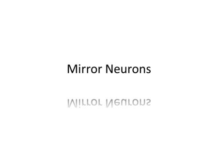 What are Mirror Neurons? Mirror neurons are cells that fire when a monkey (or person?) performs an action or when it views another animal performing that.