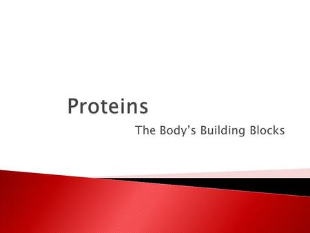 The Body’s Building Blocks.  Which of the food groups from the Food Pyramid provide the most protein in a diet?  Answer: The meat/beans group and the.
