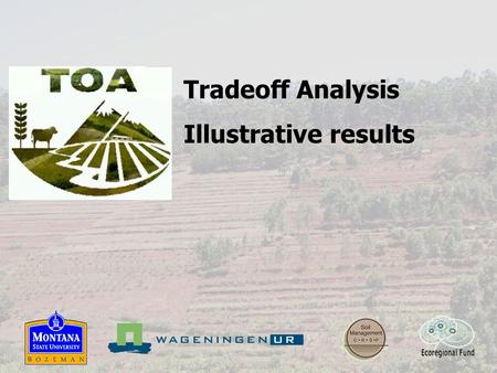Tradeoff Analysis Illustrative results. TOA projects Ecuador - Carchi Potato-pasture system High external inputs Steep slopes High altitude (>2800 m.a.s.l.)