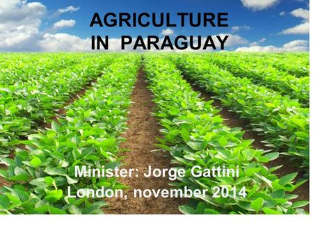 AGRICULTURE IN PARAGUAY Minister: Jorge Gattini London, november 2014.