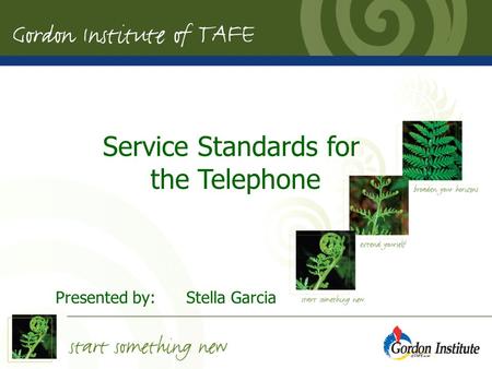Presented by:Stella Garcia May 2007 Service Standards for the Telephone Presented by:Stella Garcia.