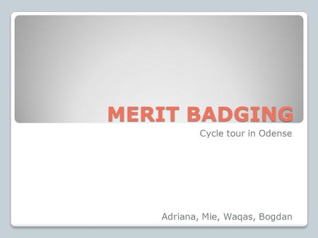 MERIT BADGING MERIT BADGING Cycle tour in Odense Adriana, Mie, Waqas, Bogdan.