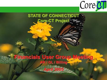 STATE OF CONNECTICUT Core-CT Project Financials User Group Meeting AR / GL / Billing April 2005.