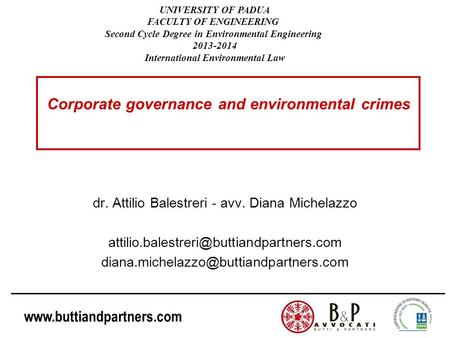 Corporate governance and environmental crimes