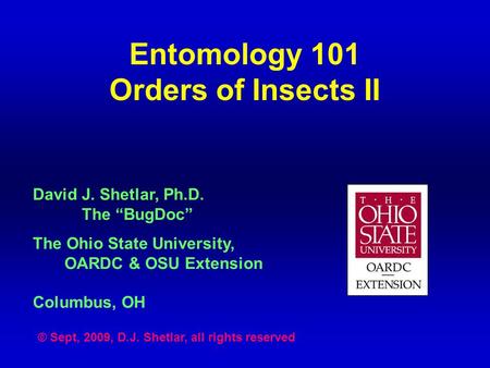Entomology 101 Orders of Insects II