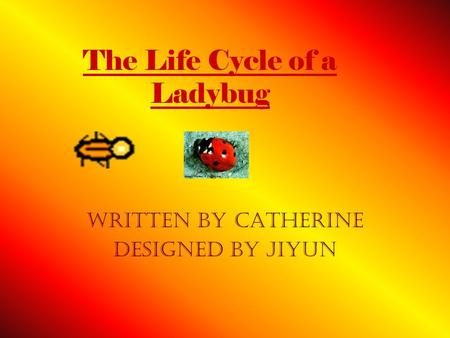 The Life Cycle of a Ladybug Written By Catherine designed by Jiyun.