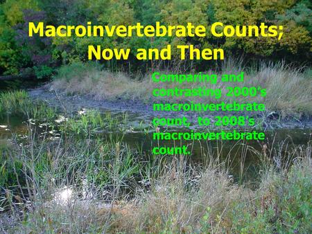 Macroinvertebrate Counts; Now and Then Comparing and contrasting 2000’s macroinvertebrate count, to 2008’s macroinvertebrate count.