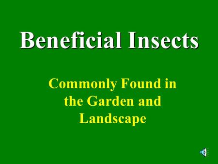 Beneficial Insects Commonly Found in the Garden and Landscape.