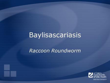 Baylisascariasis Raccoon Roundworm. Overview Organism History Epidemiology Transmission Disease in Humans Disease in Animals Prevention and Control Actions.