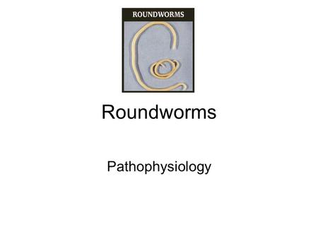 Roundworms Pathophysiology. Ascaris lumbricoides largest nematode parasitizing the human intestine most common human helminthic infection worldwide.