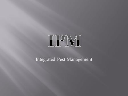 Integrated Pest Management.  IPM is an approach on pest management. It is environmentally sensitive and is effective.  IPM has the advantage to most.