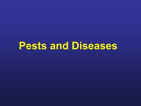 Pests and Diseases For this class we'll discuss some of the pests and diseases that you'll need to become familiar with as a beekeeper. Some you'll never.