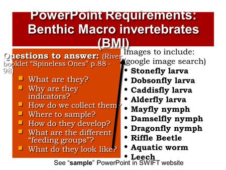 PowerPoint Requirements: Benthic Macro invertebrates (BMI)