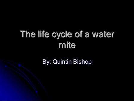 The life cycle of a water mite By: Quintin Bishop.
