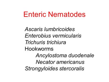 Enteric Nematodes Ascaris lumbricoides Enterobius vermicularis
