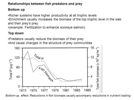 Relationships between fish predators and prey Bottom up Richer systems have higher productivity at all trophic levels Enrichment usually increases the.