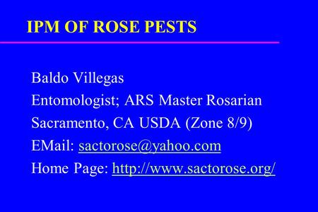 IPM OF ROSE PESTS Baldo Villegas Entomologist; ARS Master Rosarian Sacramento, CA USDA (Zone 8/9)   Home Page:
